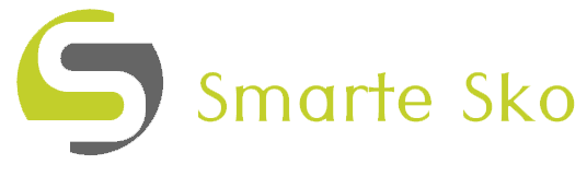 Smarte Sko